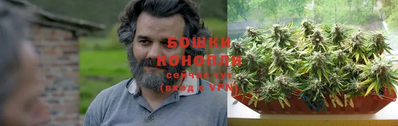 Каннабис Bruce Banner  Северская 